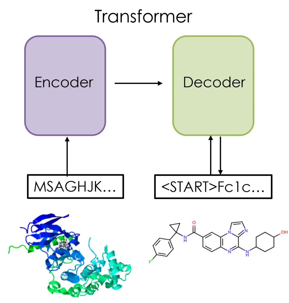 Schematic representation of a transformer model - for predicting new compounds from protein sequence data. 