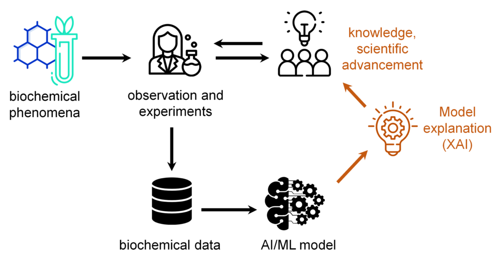 Scheme of AI in Life Sciences