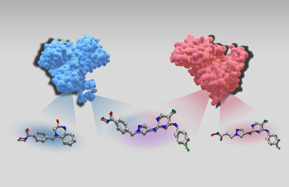 AI-generated dual and single target compound