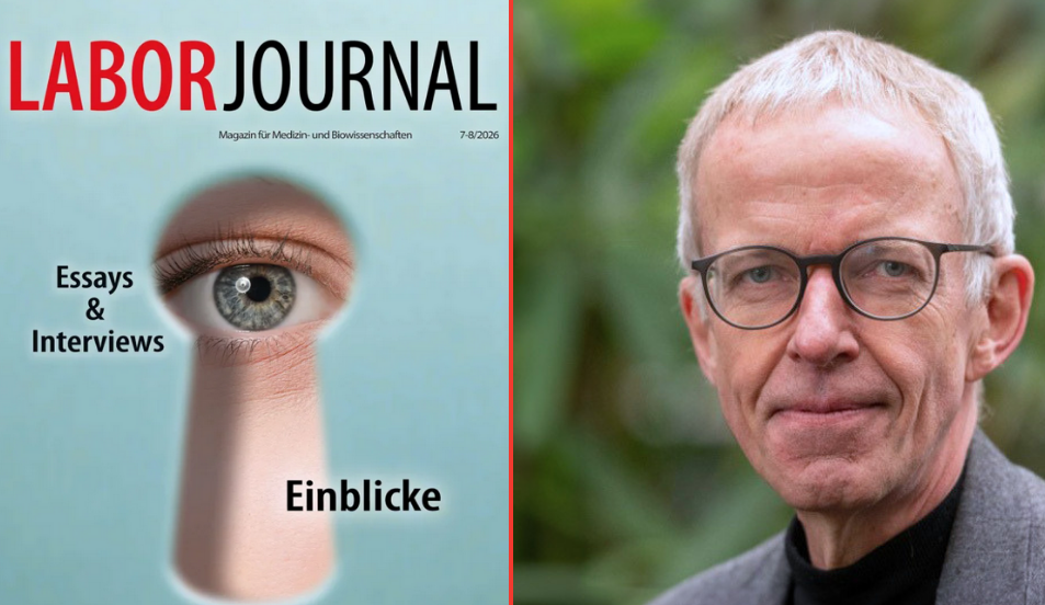 Portrait of Jürgen Bajorath, Chair of the Life Sciences & Health area at the Lamarr Institute, accompanying an article on explainable AI in drug discovery.