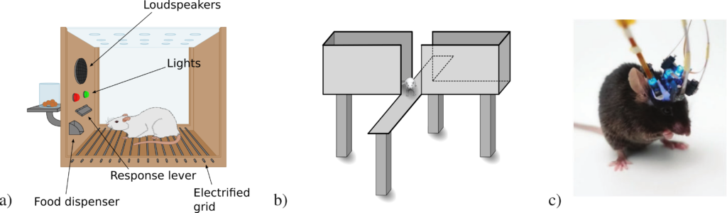 Why do we Need AI to Quantify Animal Behavior? 2 fig1 traditional neuroscience behavior paradigms - Lamarr Institute for Machine Learning (ML) and Artificial Intelligence (AI)