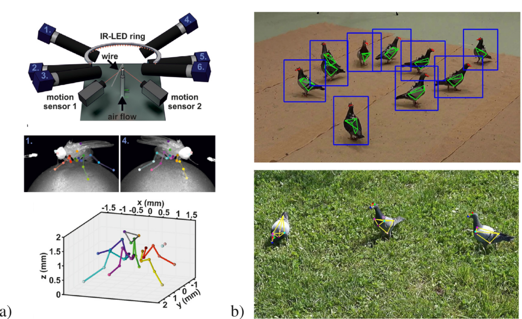 Why do we Need AI to Quantify Animal Behavior? 3 fig2 progress tracking - Lamarr Institute for Machine Learning (ML) and Artificial Intelligence (AI)